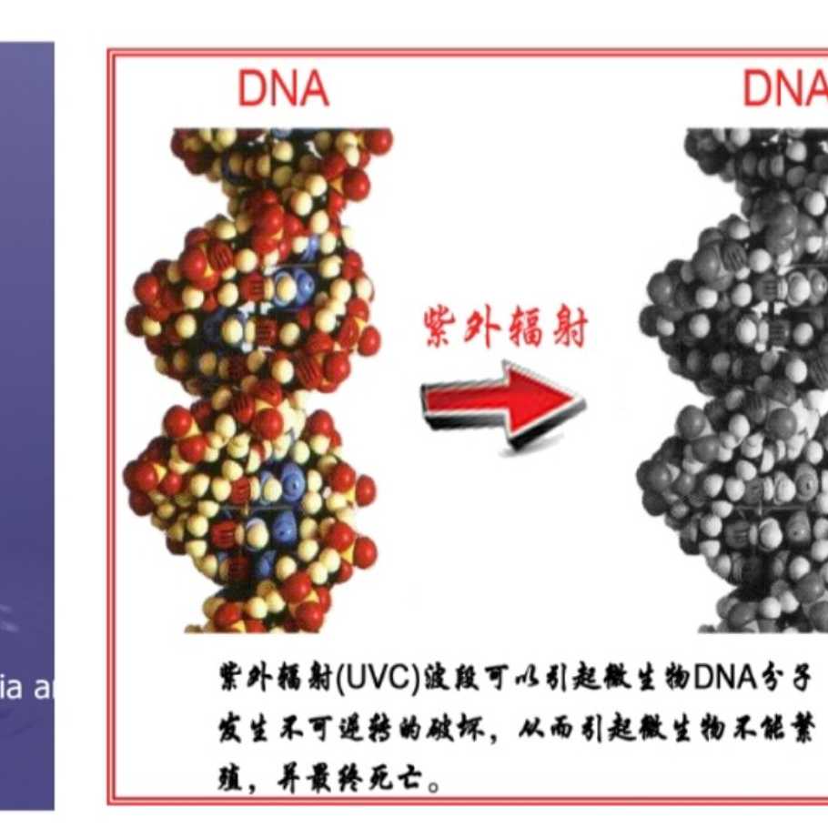 15-25W汞齐一体化电子灯 4